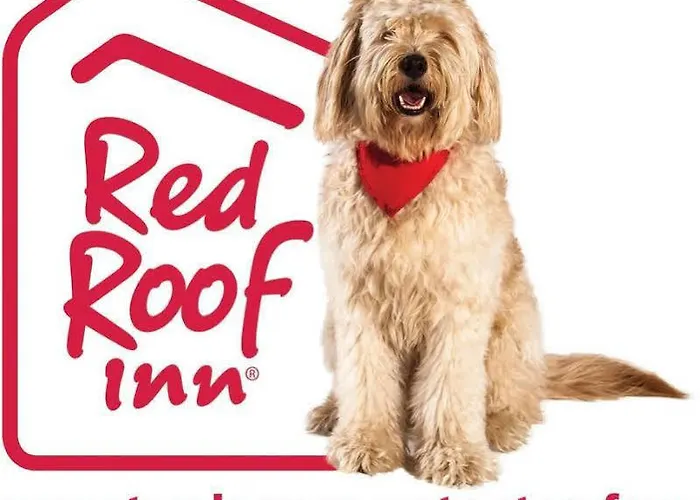 Red Roof Plus+ Columbus-ohio State Osu 3* Columbus